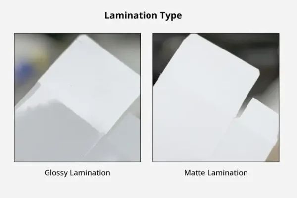 PP E Custom Printed Mono Carton Boxes