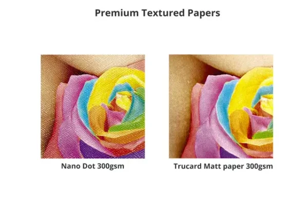 Premium Paper Certificates