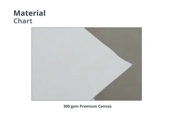 Rolled Canvas Posters