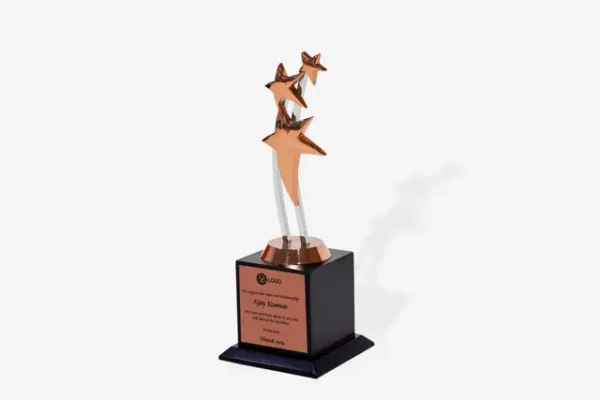 SB B Starlink Trophy - Bronze
