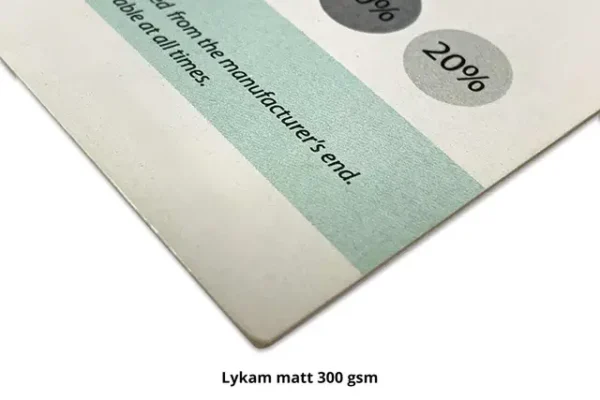 Standard Paper Certificates