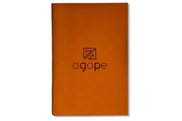 Soft-bound Tan Diary